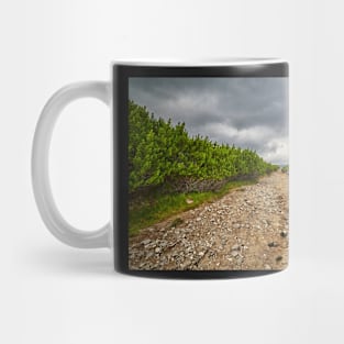 Dirt road through dwarf pines Mug